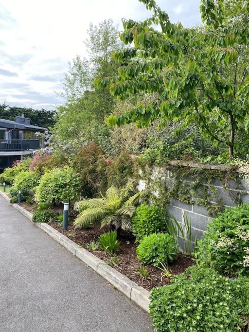 Beautiful Garden Apartment With Private Patio And Garden View Dublin Exterior photo