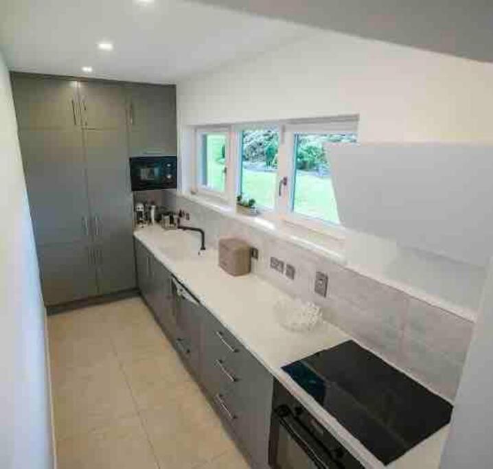 Beautiful Garden Apartment With Private Patio And Garden View Dublin Exterior photo